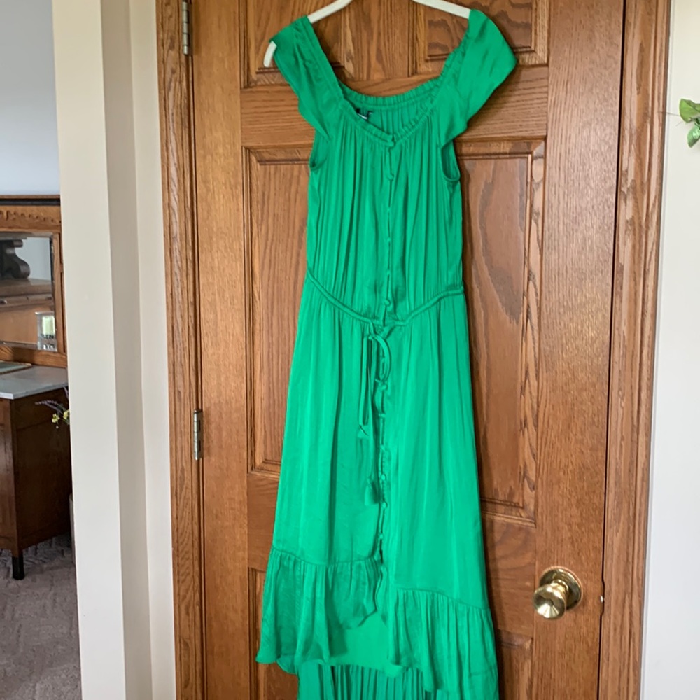 Naked Zebra Maxi Dress